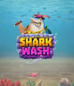 Погрузитесь в уникальным подводным приключением с слотом Shark Wash от Relax Gaming, демонстрирующим яркую графику подводных обитателей в забавной обстановке автомойки. Примите участие в удовольствию, когда акулы и другие морские животные наслаждаются игривой чисткой, включая увлекательные механики вроде специальных бонусов, вайлдов и бесплатных вращений. Идеально для тех, кто ищет радостного игрового сеанса с свежей тематикой.